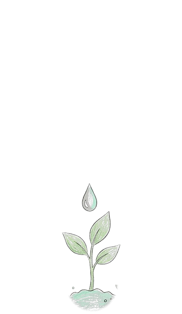 Pousse du mois 3 : Une goutte de pluie