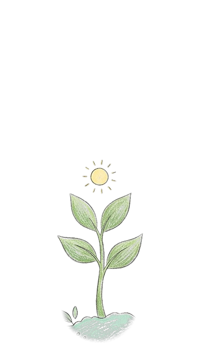 Pousse du mois 5 : Un petit soleil